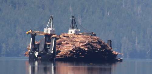 Log Transport off Port Alice